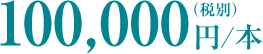 100,000円/本（税別）